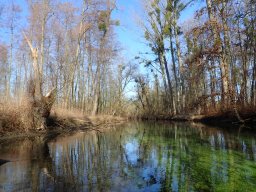 Groschenwasser, Februar 2026